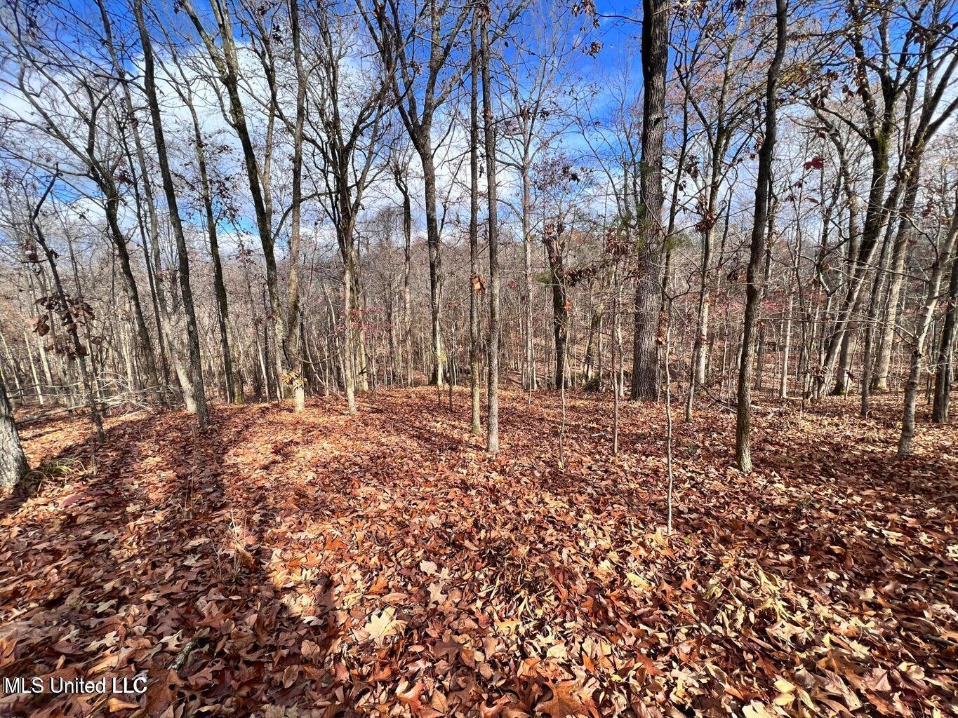 N Ricks Road, Byhalia, Mississippi image 25