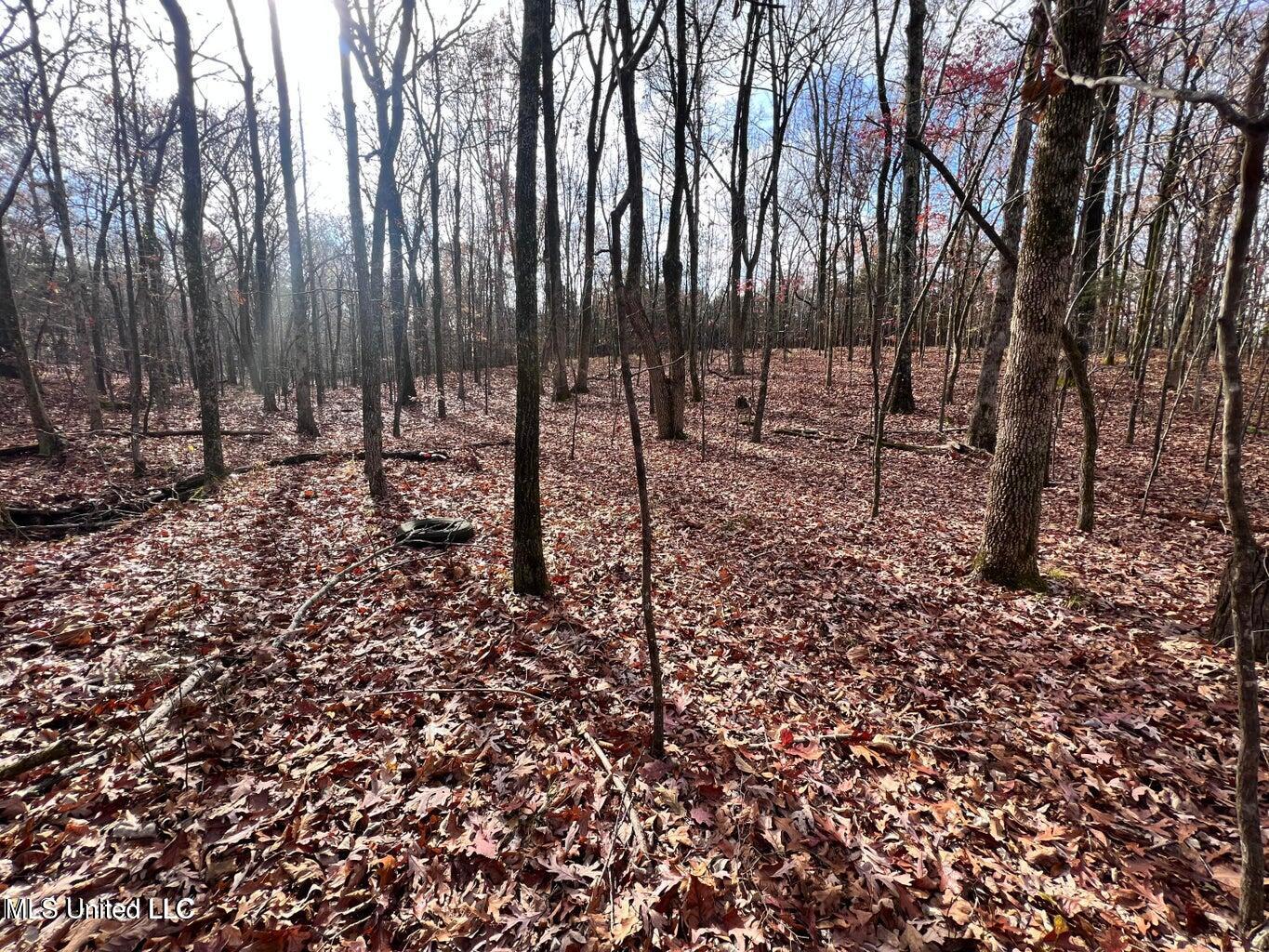 N Ricks Road, Byhalia, Mississippi image 12