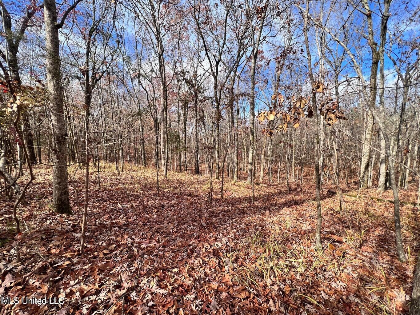 N Ricks Road, Byhalia, Mississippi image 9