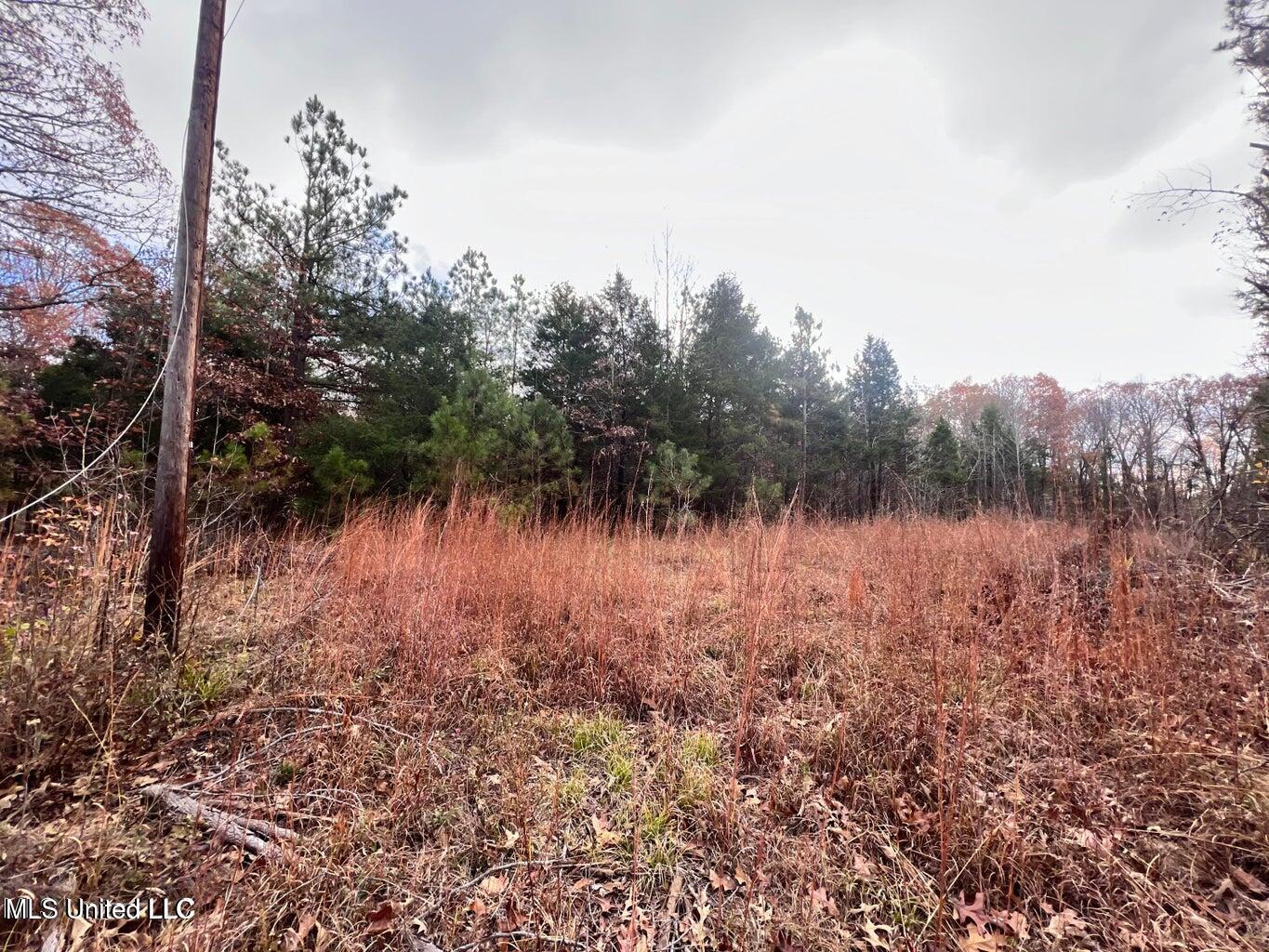 N Ricks Road, Byhalia, Mississippi image 6