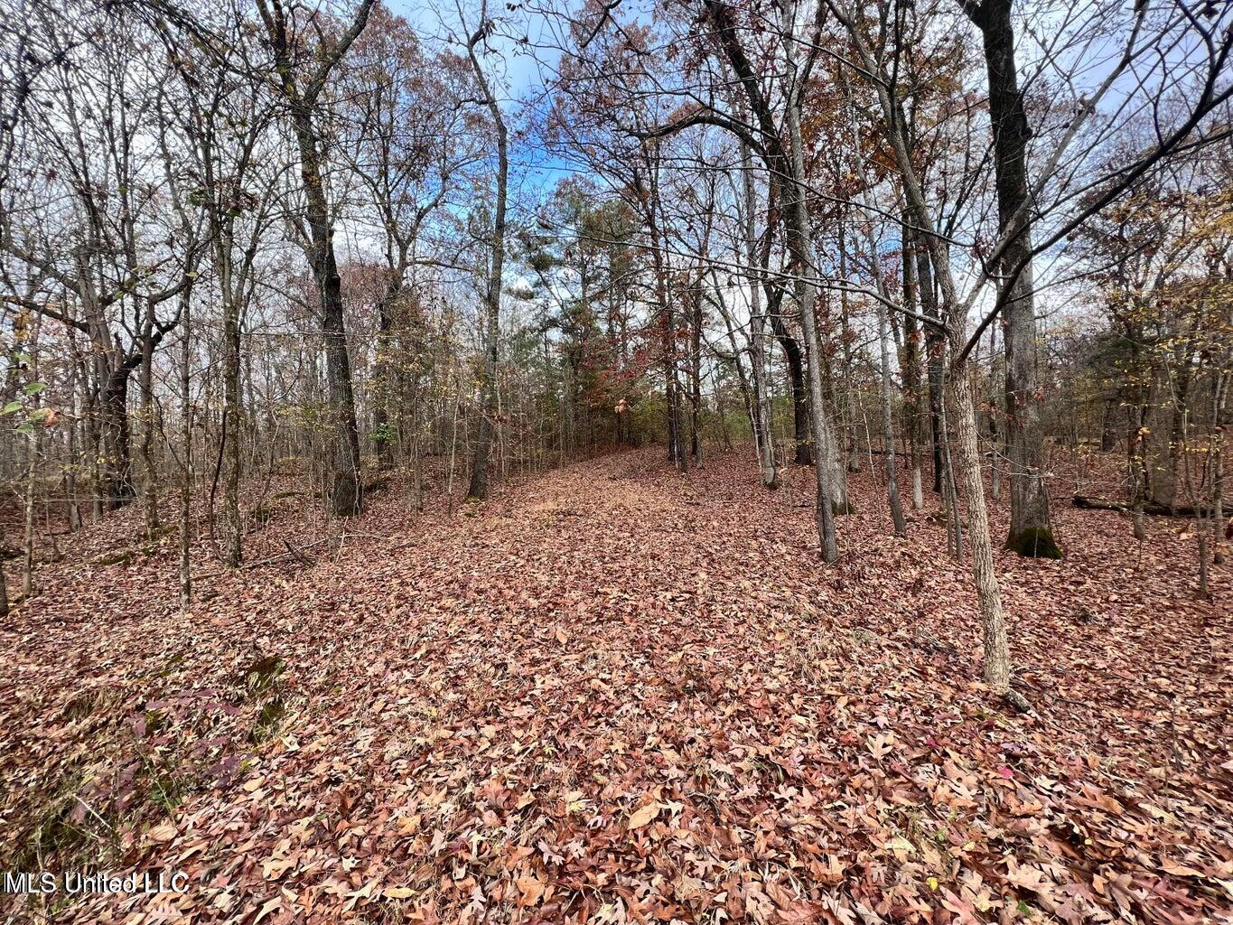 N Ricks Road, Byhalia, Mississippi image 38