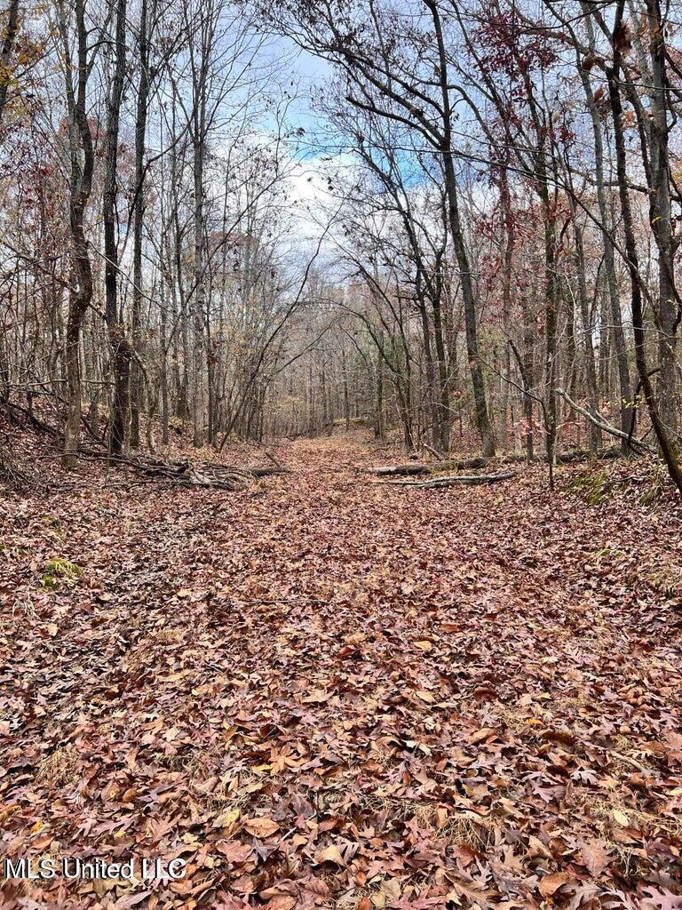 N Ricks Road, Byhalia, Mississippi image 3
