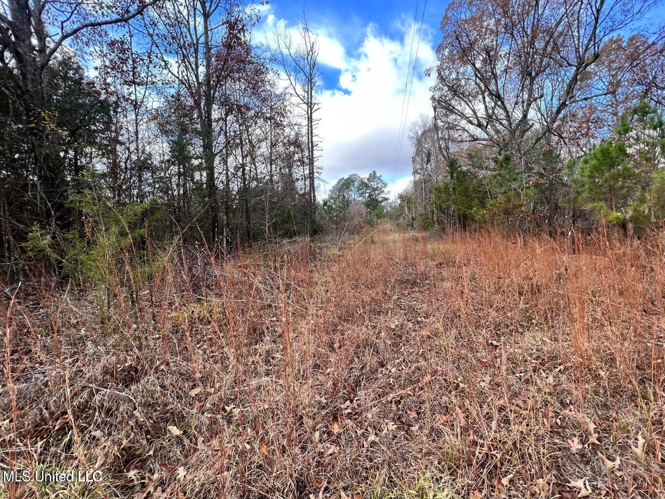 N Ricks Road, Byhalia, Mississippi image 7