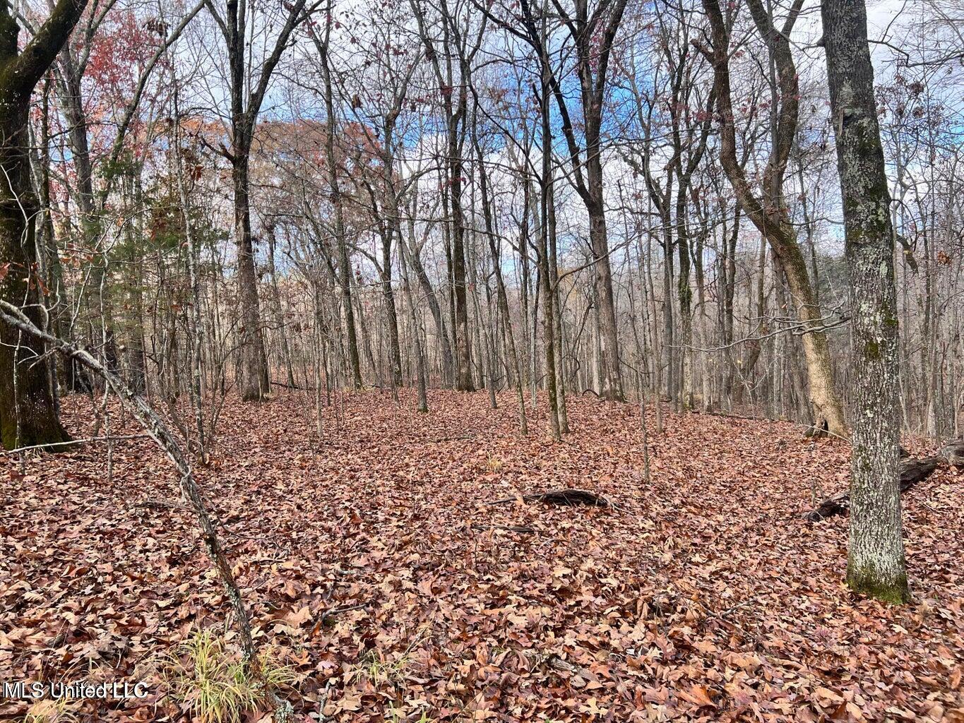 N Ricks Road, Byhalia, Mississippi image 26