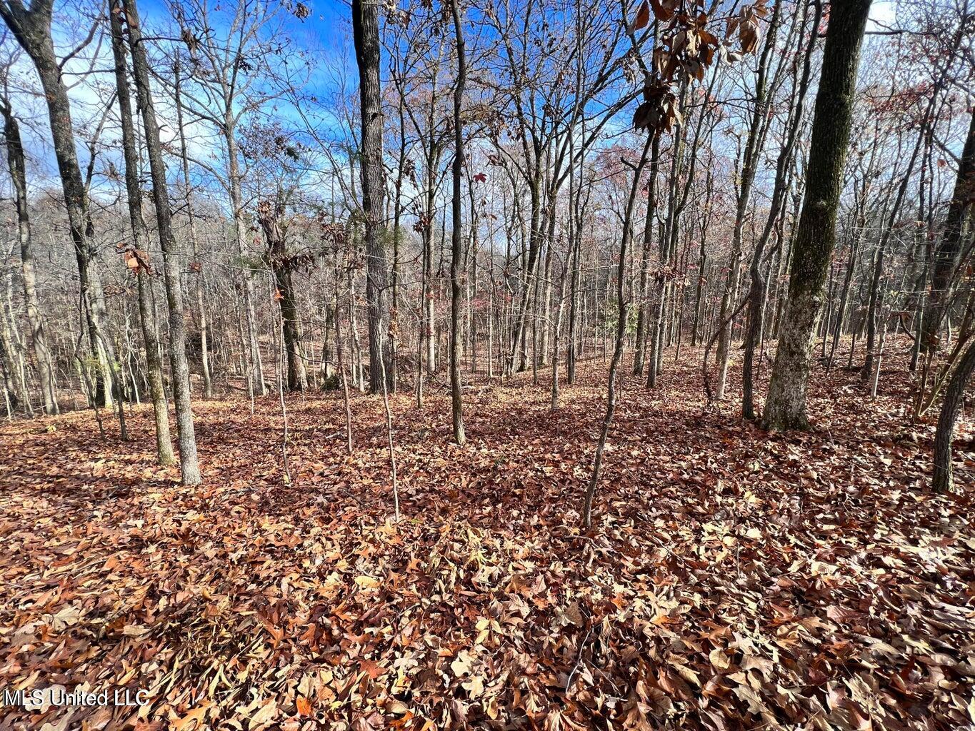 N Ricks Road, Byhalia, Mississippi image 28