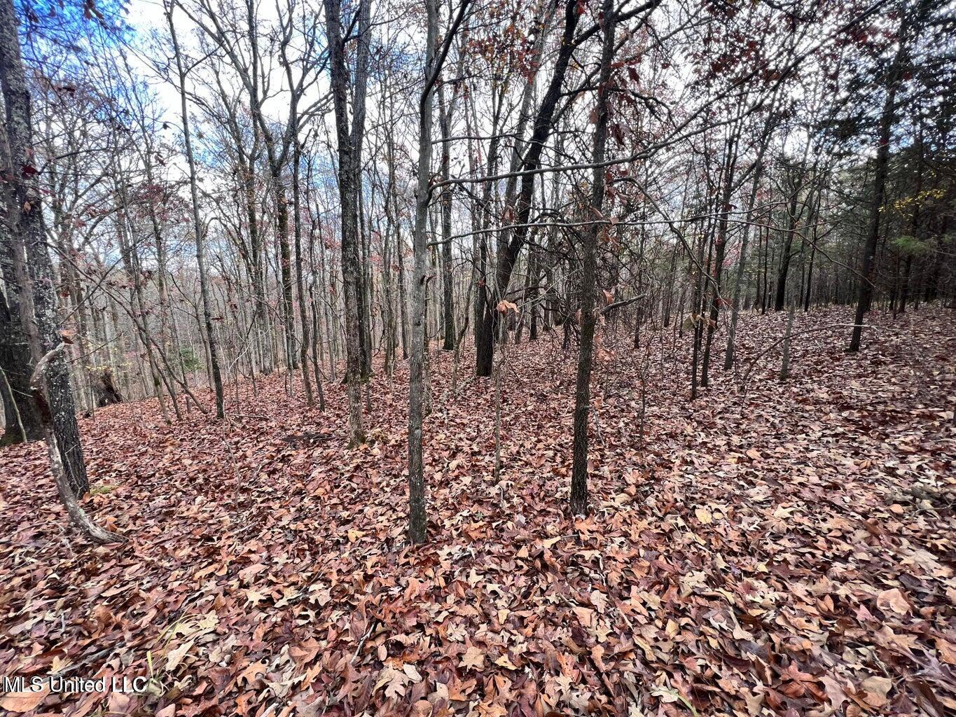 N Ricks Road, Byhalia, Mississippi image 32