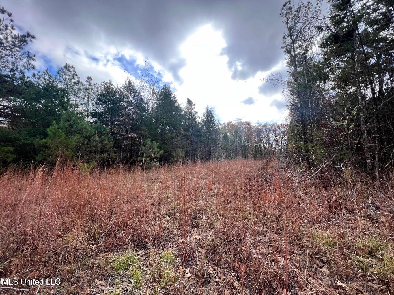 N Ricks Road, Byhalia, Mississippi image 35