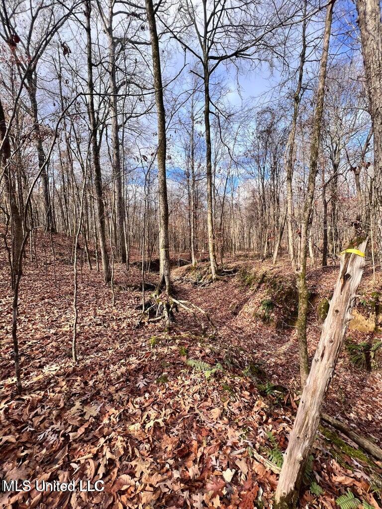 N Ricks Road, Byhalia, Mississippi image 17