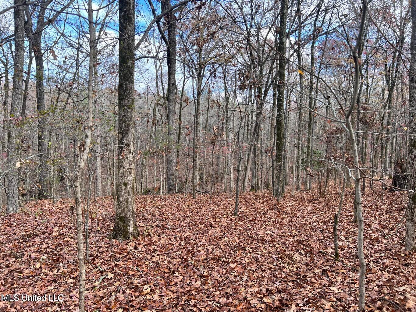 N Ricks Road, Byhalia, Mississippi image 29