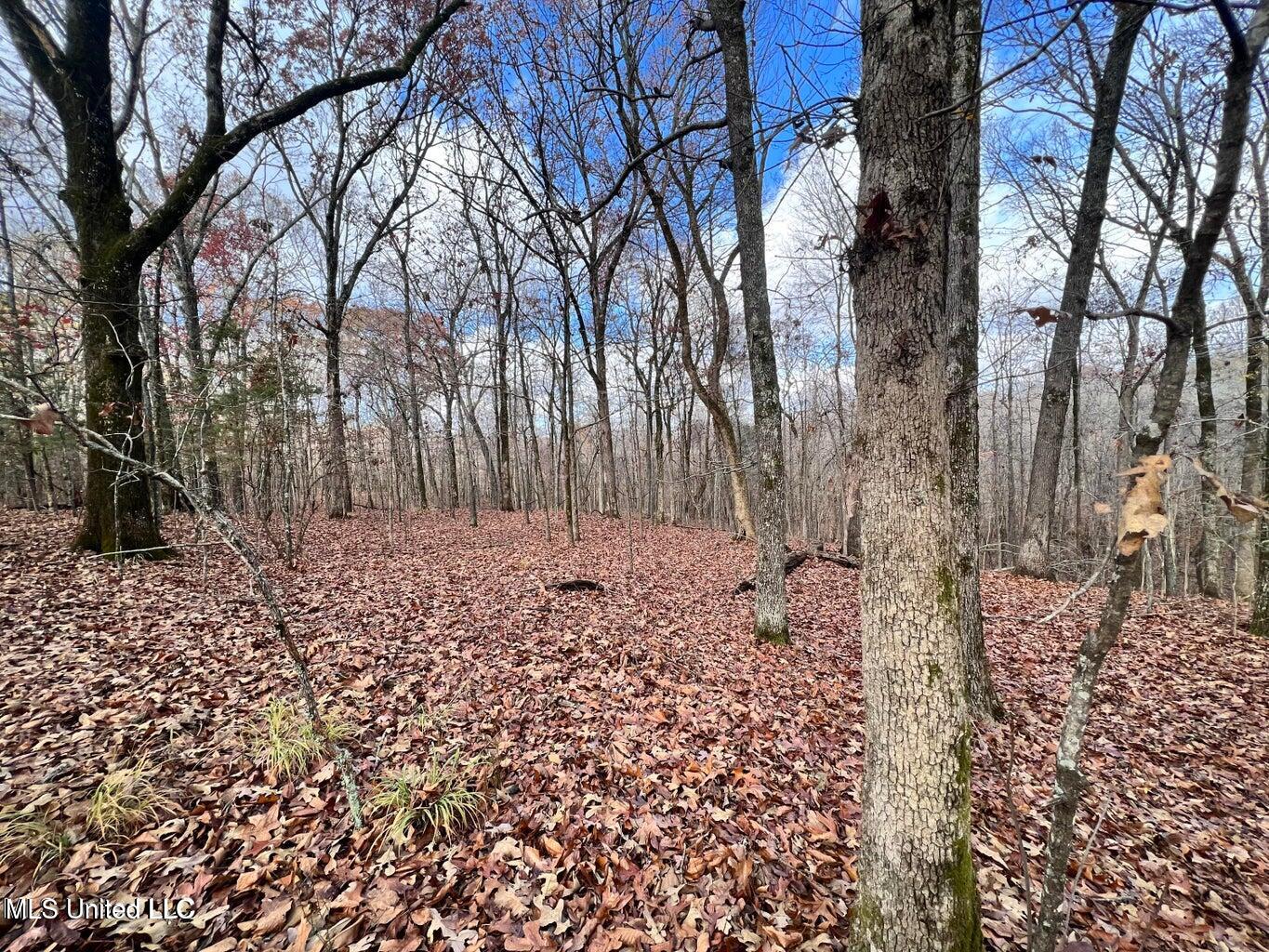 N Ricks Road, Byhalia, Mississippi image 27