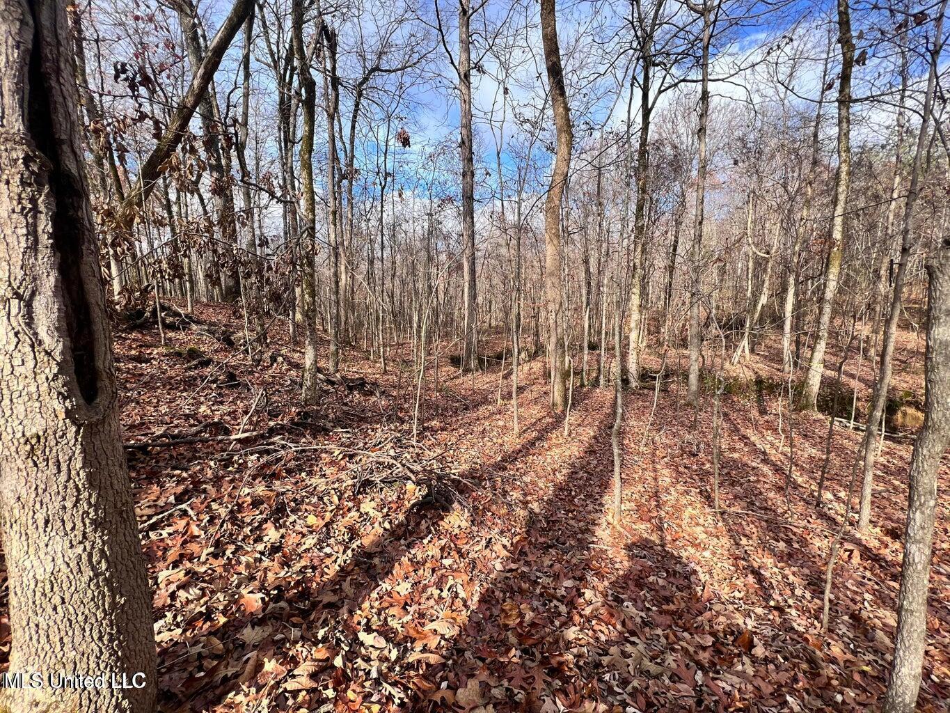 N Ricks Road, Byhalia, Mississippi image 15