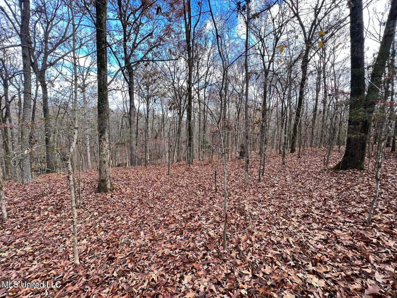 N Ricks Road, Byhalia, Mississippi image 30