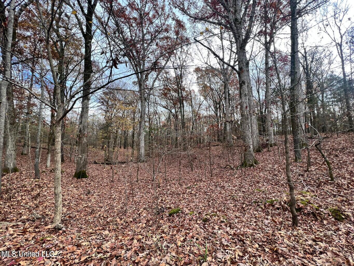N Ricks Road, Byhalia, Mississippi image 39