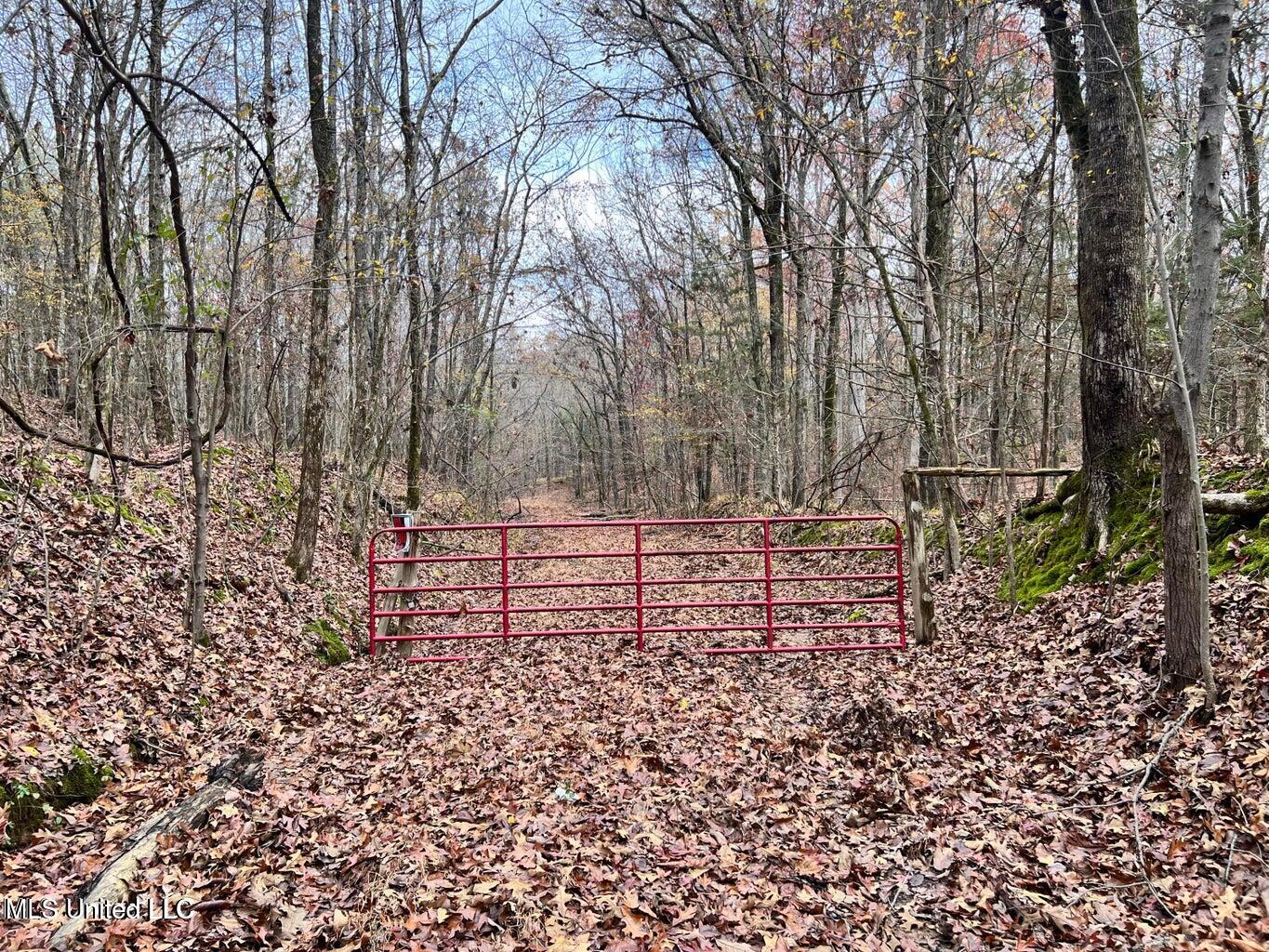 N Ricks Road, Byhalia, Mississippi image 2