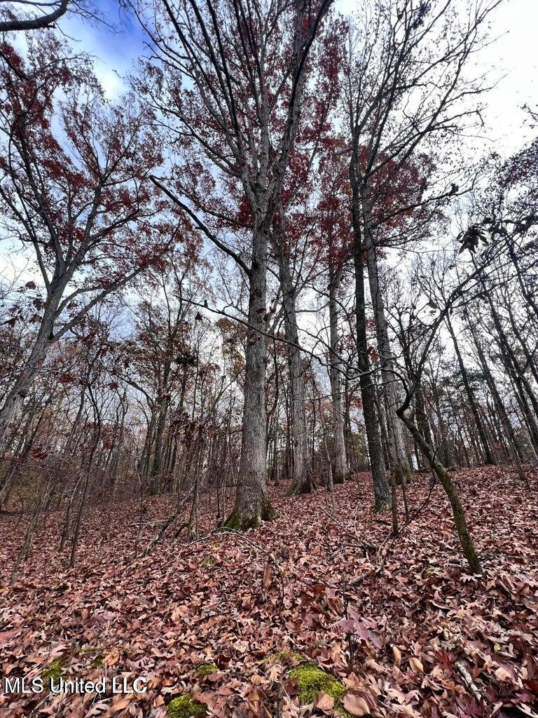 N Ricks Road, Byhalia, Mississippi image 40