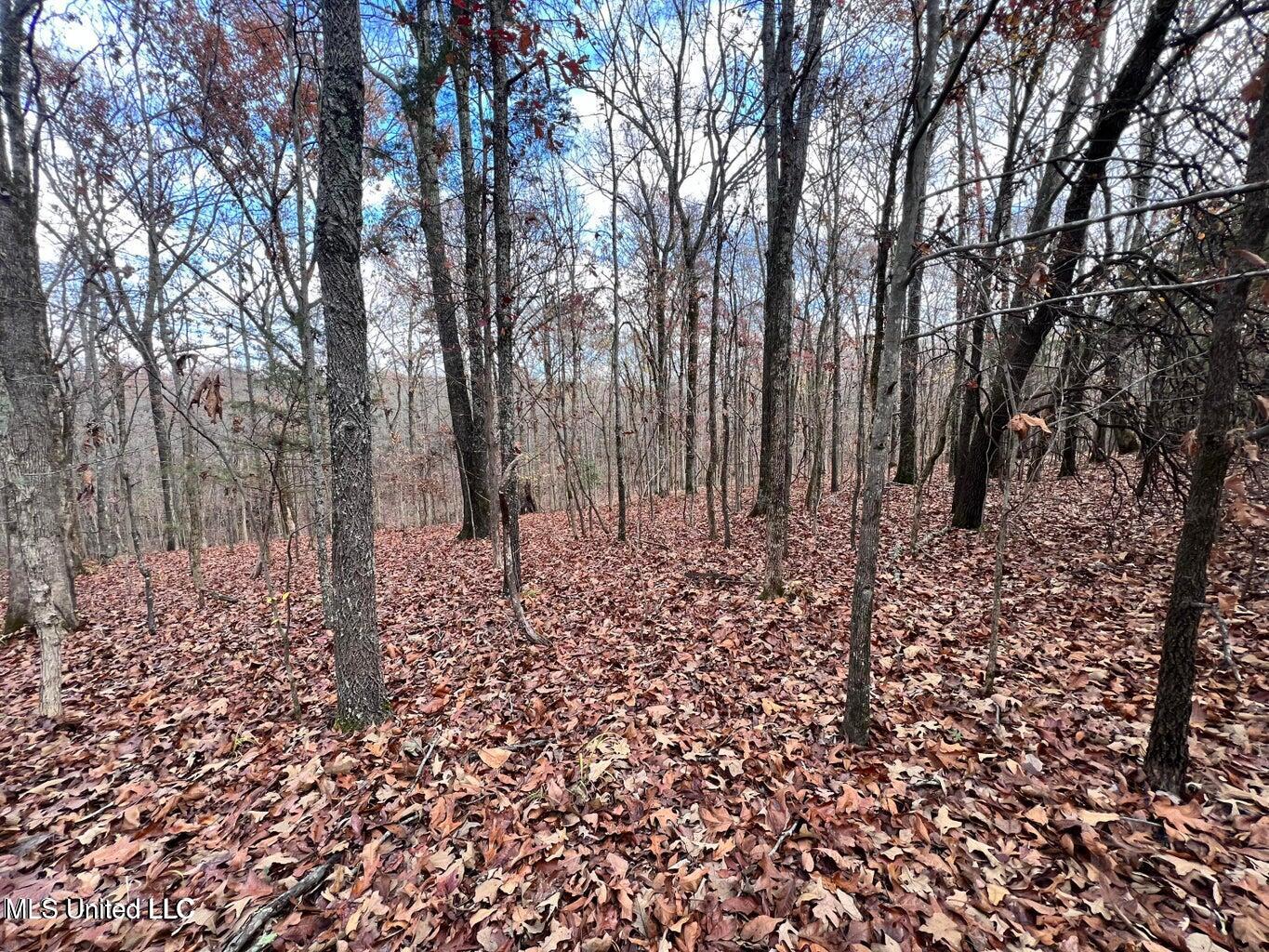 N Ricks Road, Byhalia, Mississippi image 34