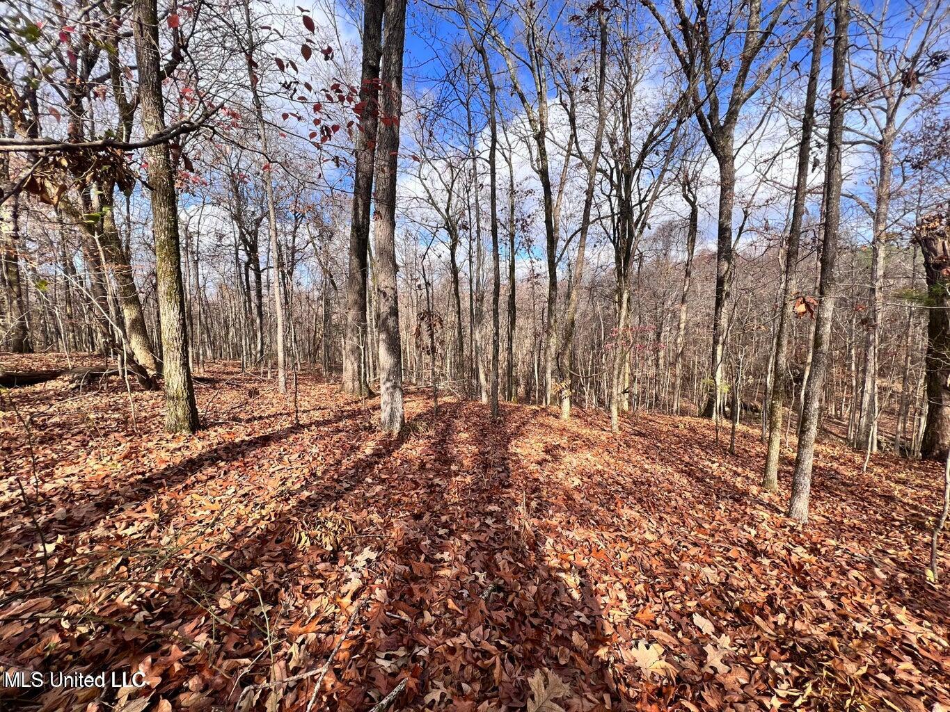 N Ricks Road, Byhalia, Mississippi image 24