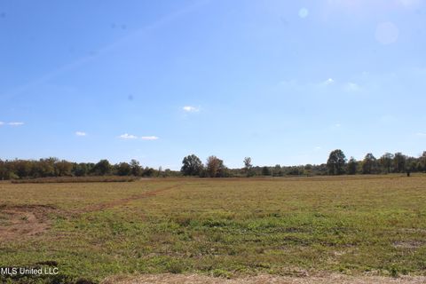 Vacant Land For Sale - 43 Pin Oak Road<br/> Michigan City, MS 38647