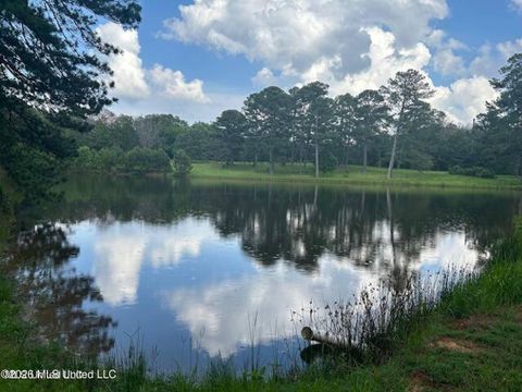 Vacant Land For Sale - 229 12 Oaks Trace<br/> Canton, MS 39046