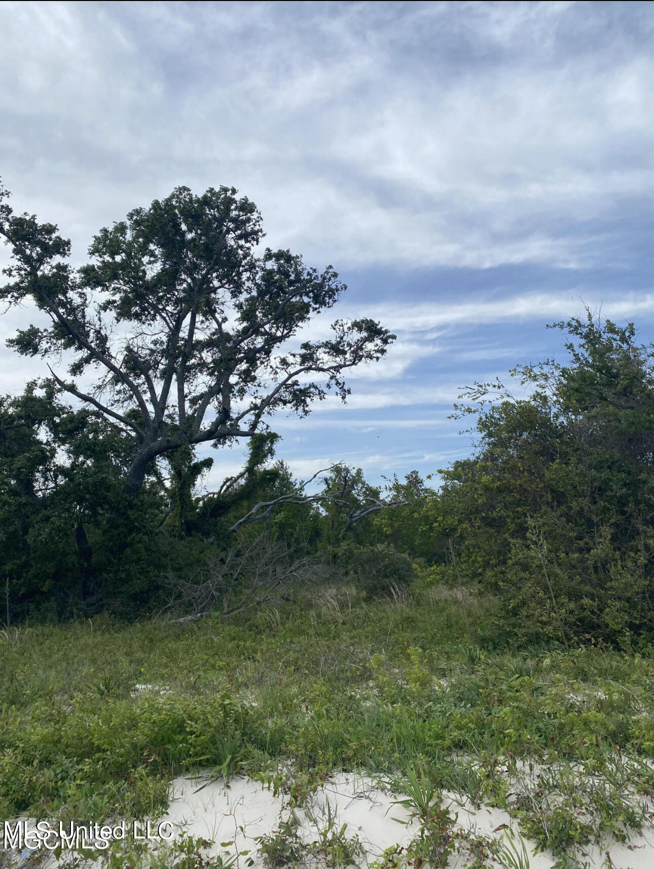 616 W Beach Boulevard, Long Beach, Mississippi image 7