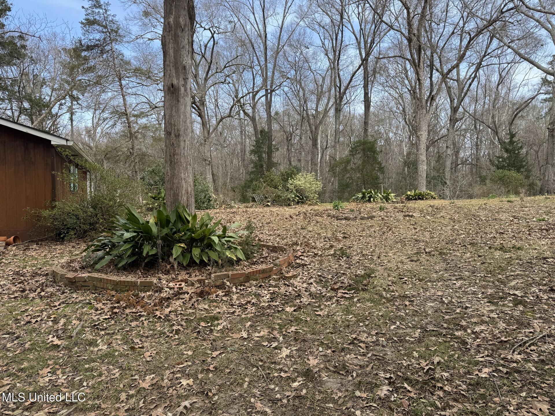 40 Old Courthouse Road, Natchez, Mississippi image 47