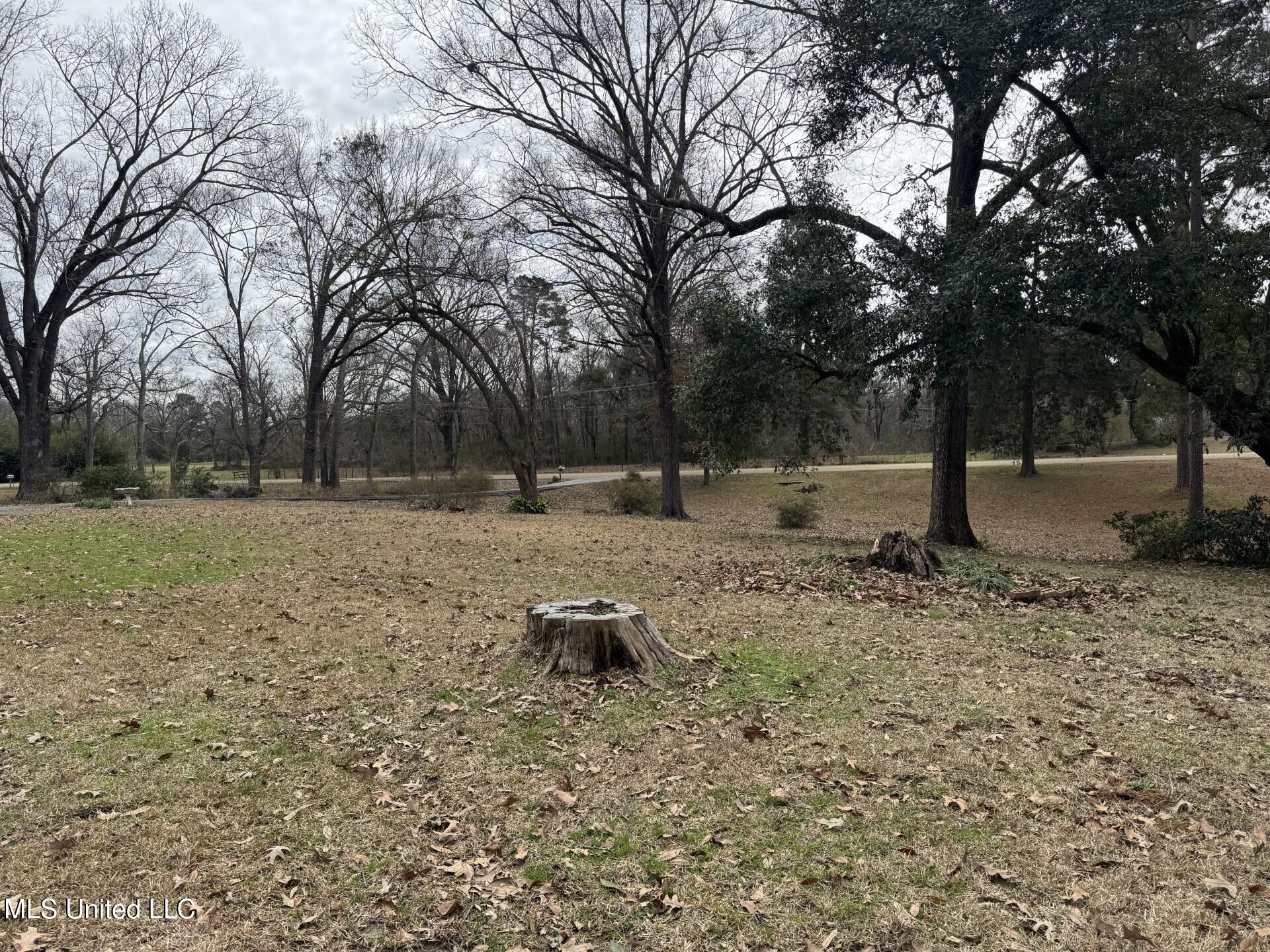 40 Old Courthouse Road, Natchez, Mississippi image 49