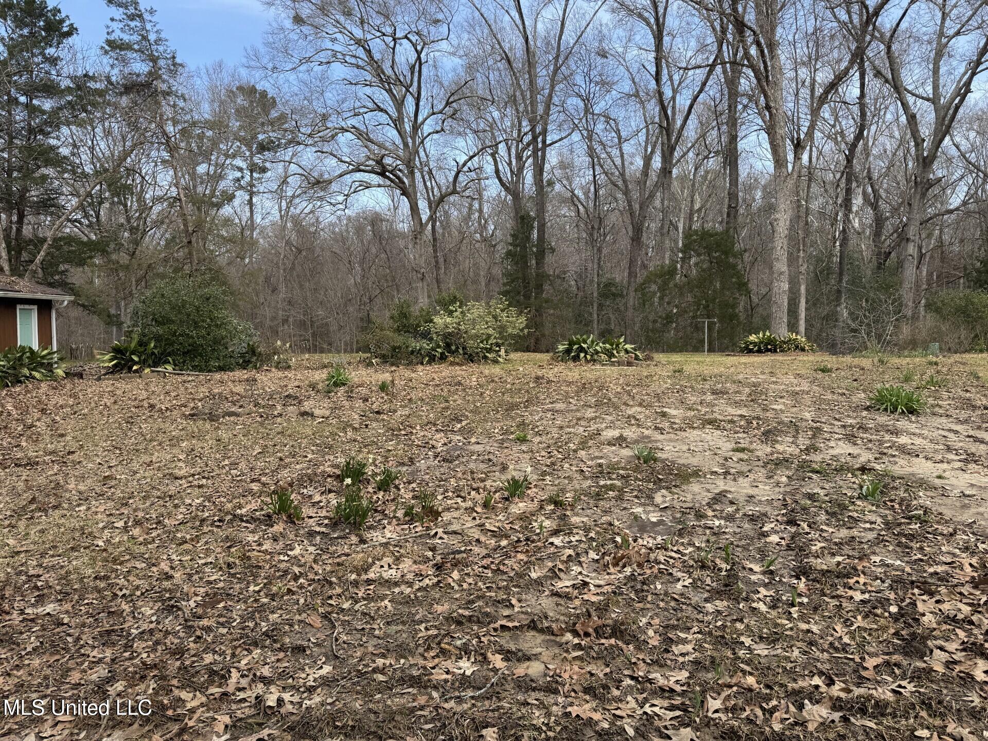 40 Old Courthouse Road, Natchez, Mississippi image 48