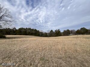 42ac Hwy 6, Batesville, Mississippi image 2