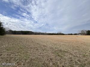 42ac Hwy 6, Batesville, Mississippi image 7