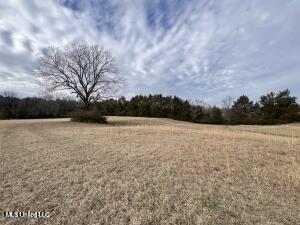 42ac Hwy 6, Batesville, Mississippi image 3