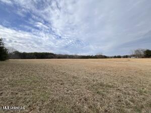 42ac Hwy 6, Batesville, Mississippi image 1