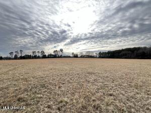 42ac Hwy 6, Batesville, Mississippi image 4