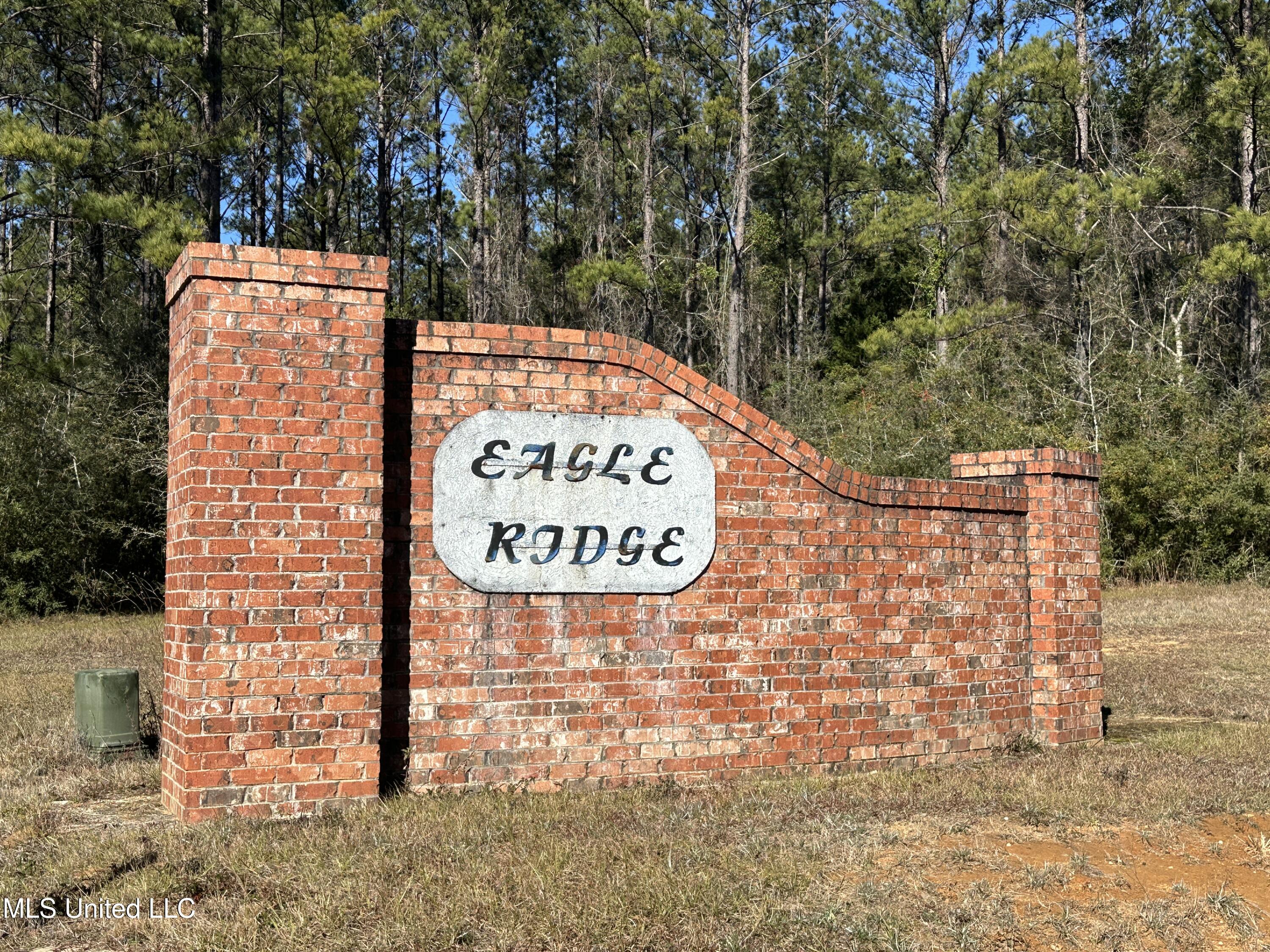 Eagle Ridge Road, Vancleave, Mississippi image 3