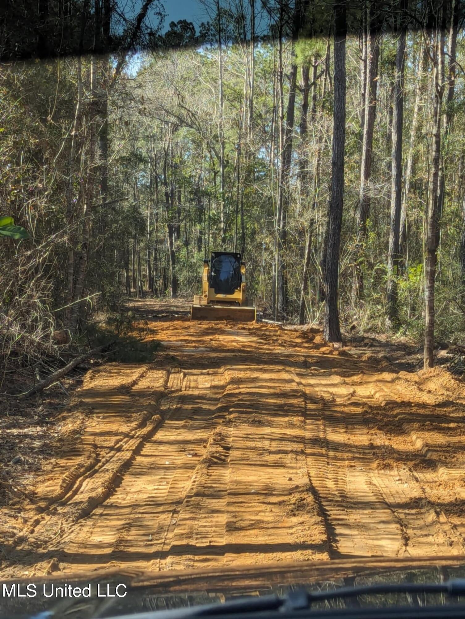 Borzik Road, Saucier, Mississippi image 1