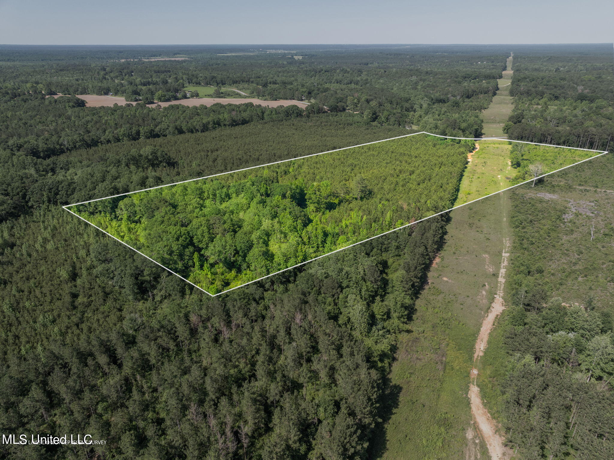 24 Acres Ridgeland Road, Bassfield, Mississippi image 2