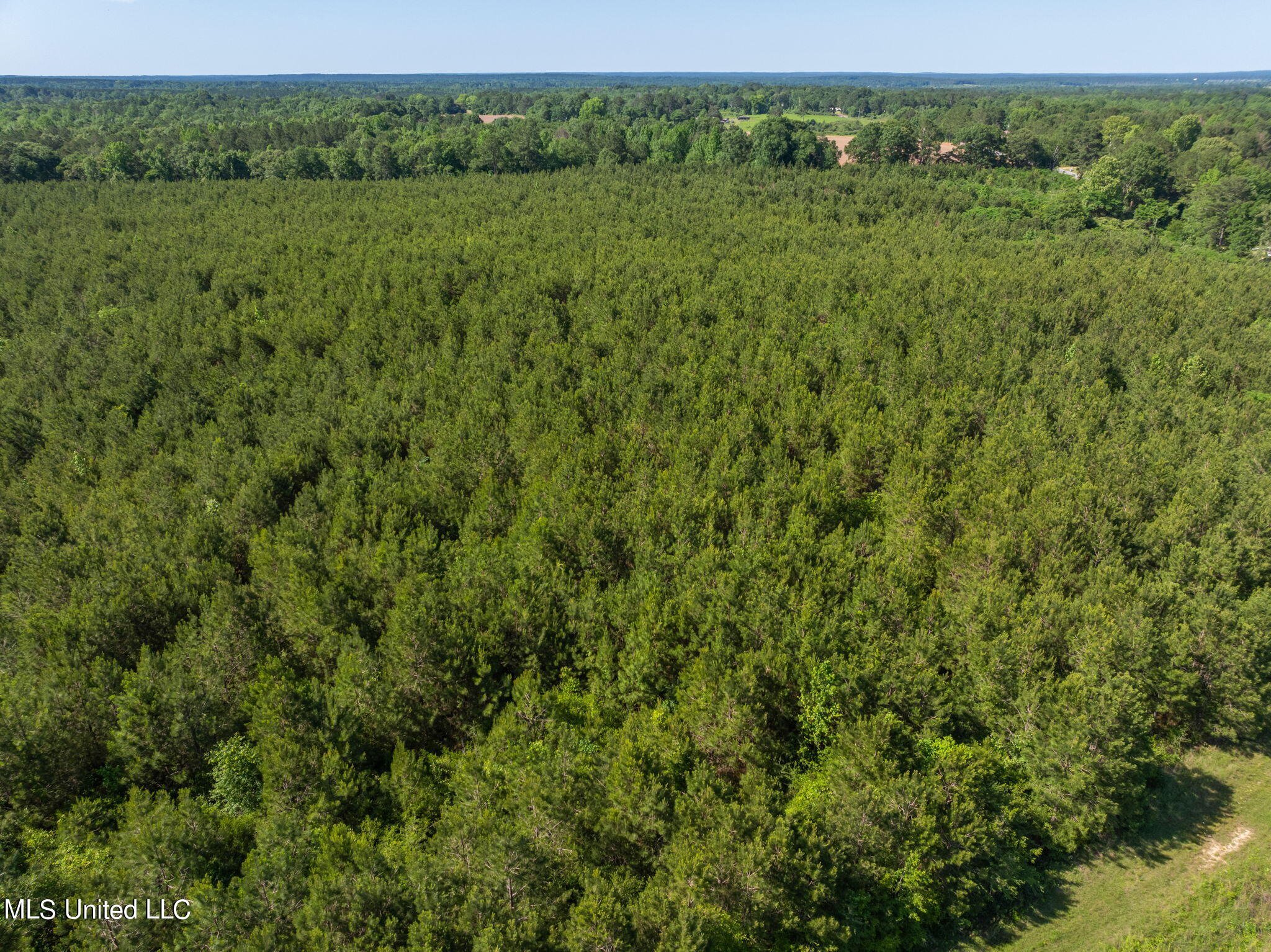 24 Acres Ridgeland Road, Bassfield, Mississippi image 3