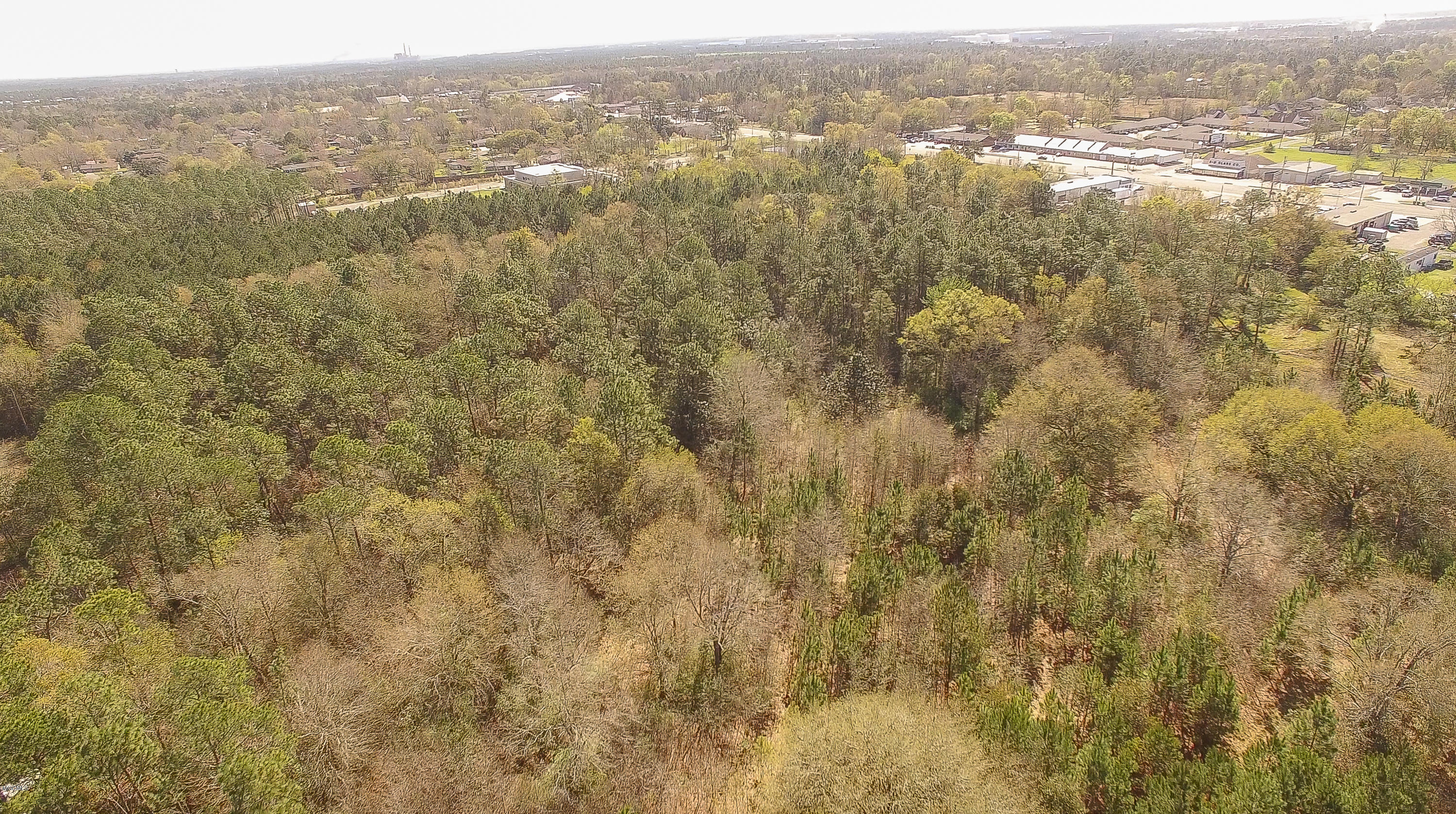 Klein Road, Gulfport, Mississippi image 9