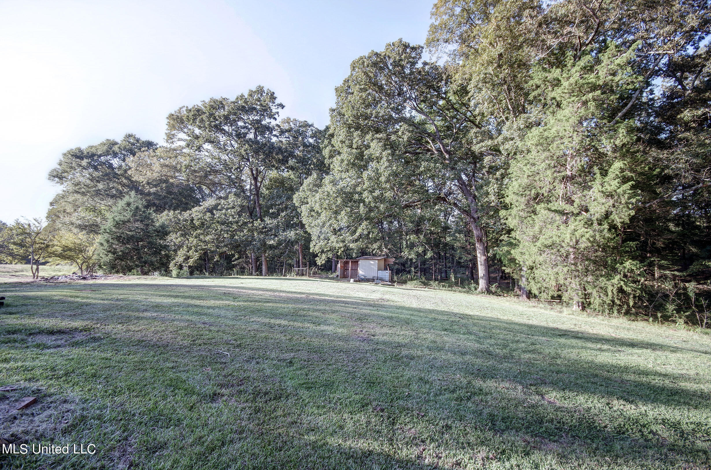 6133 Utah Road, Lena, Mississippi image 39