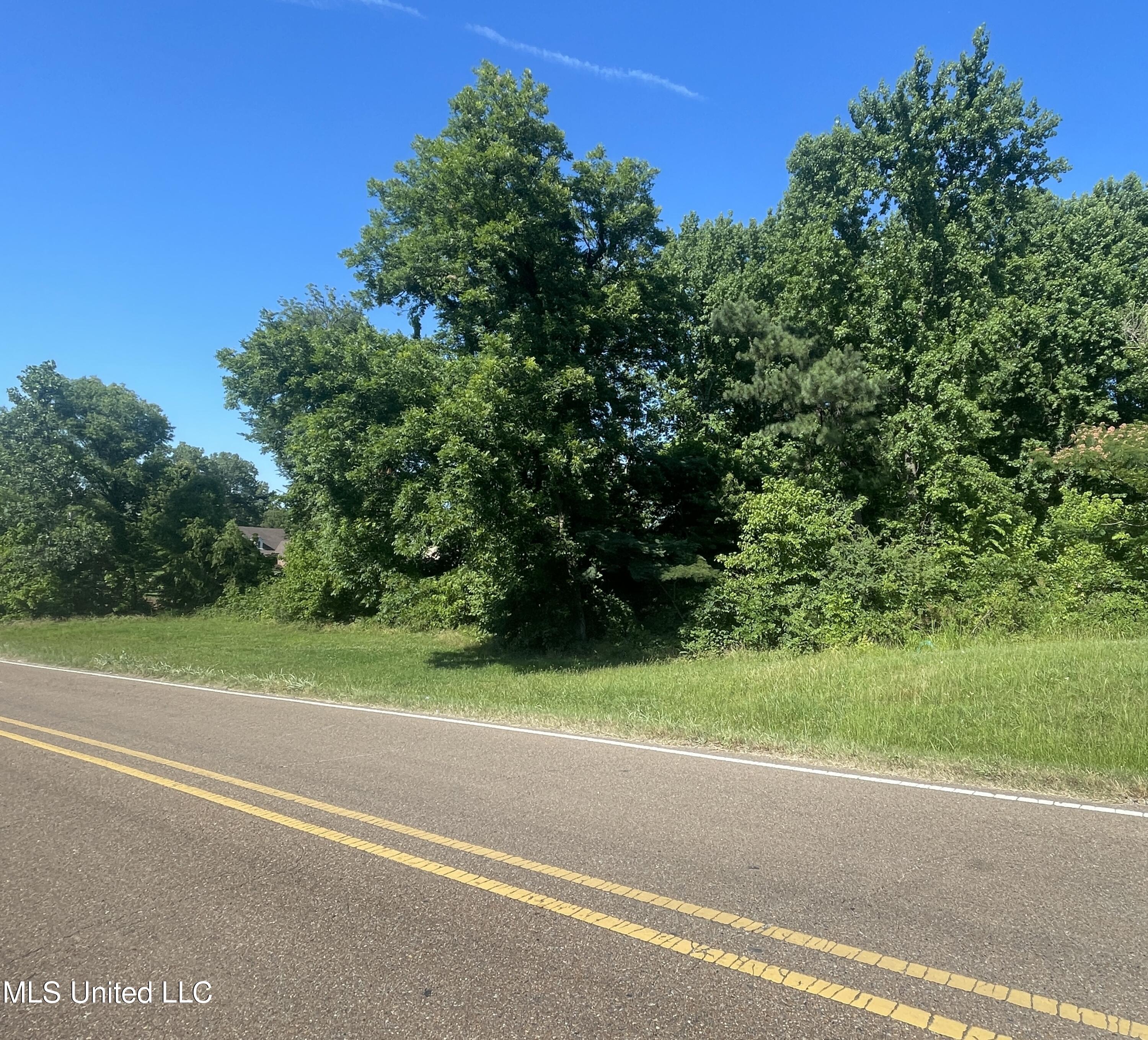 Gwynn Road, Hernando, Mississippi image 3