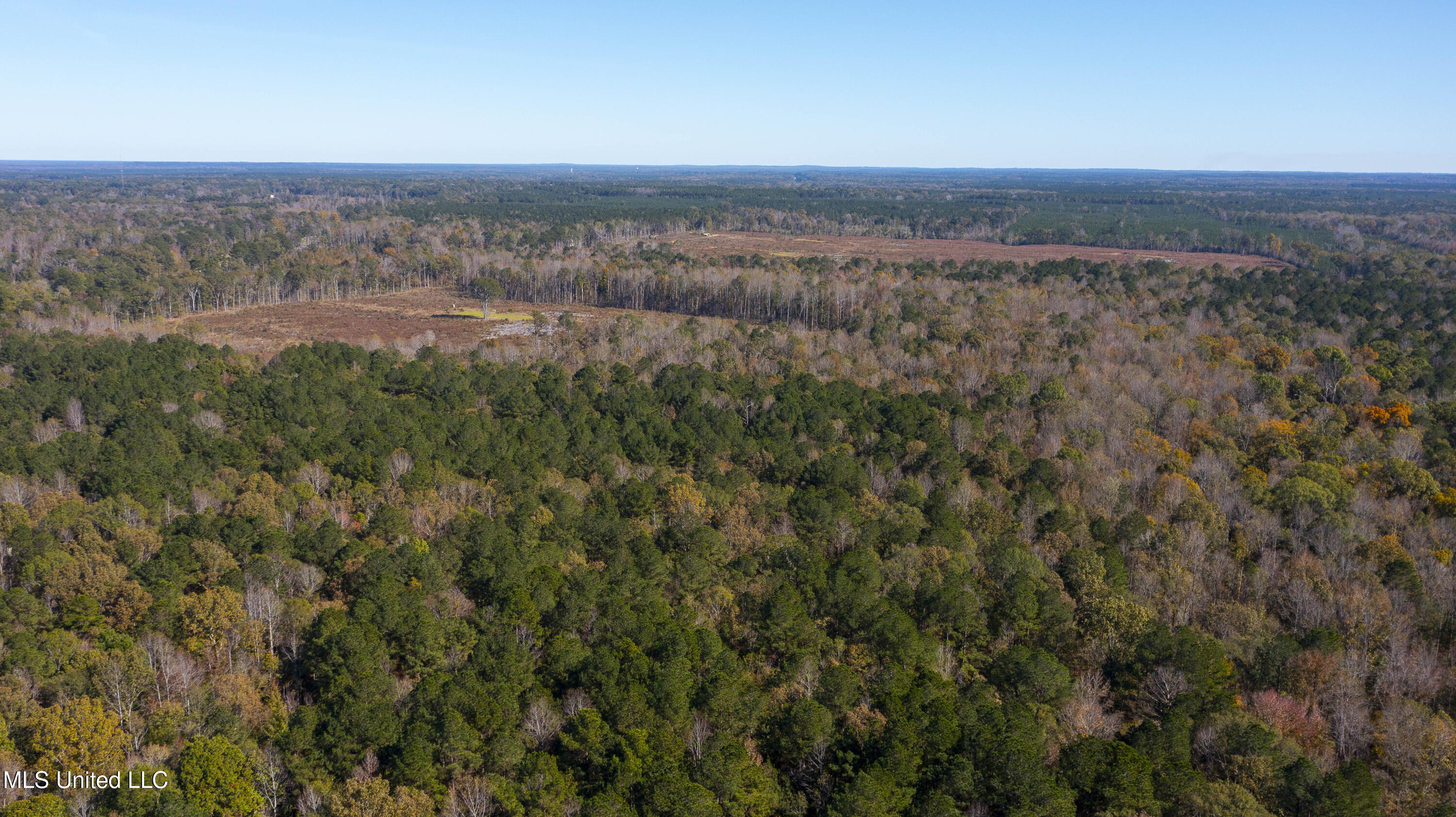 347.14 Acres Bridges Road, Brandon, Mississippi image 39