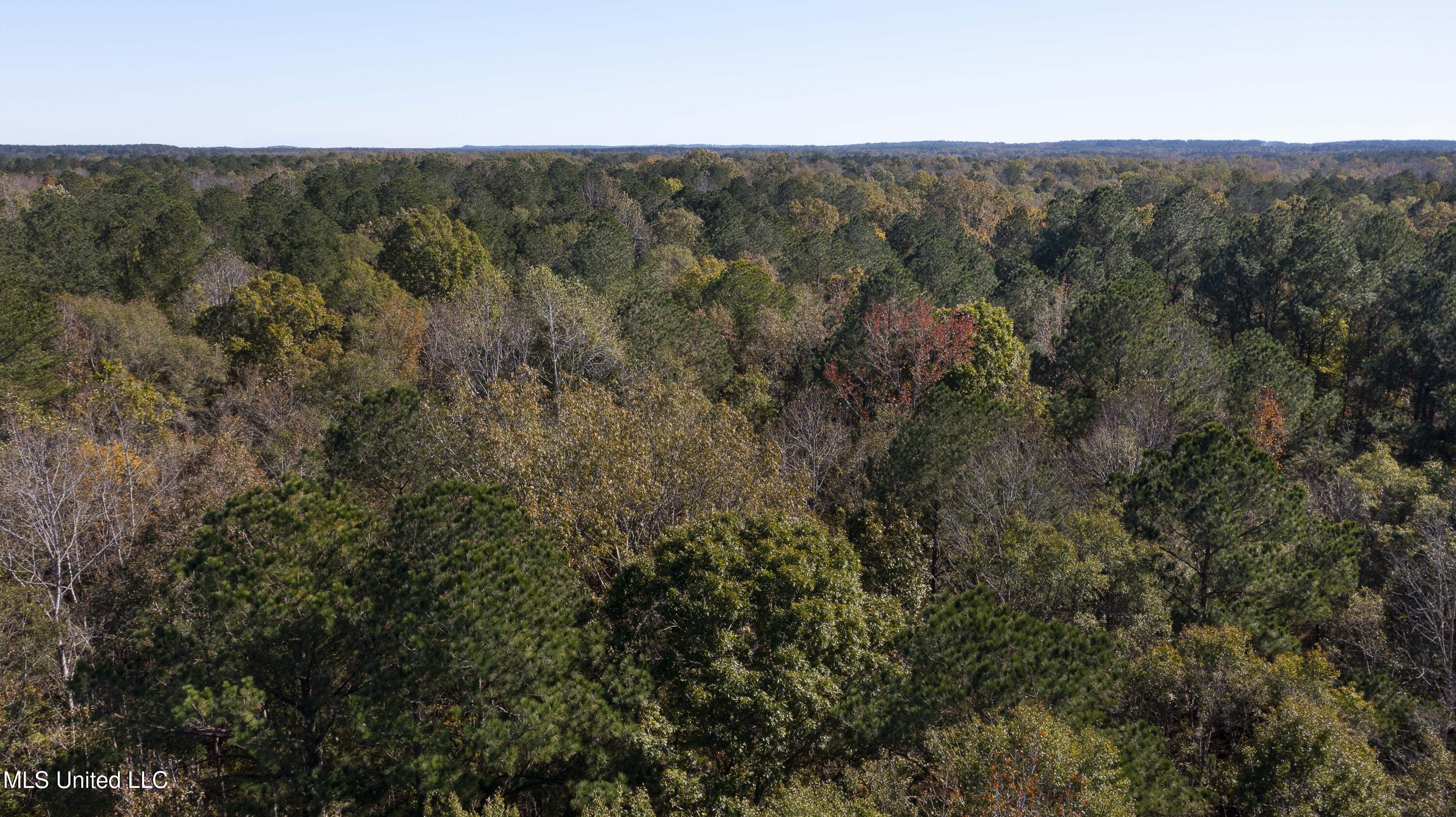 347.14 Acres Bridges Road, Brandon, Mississippi image 37