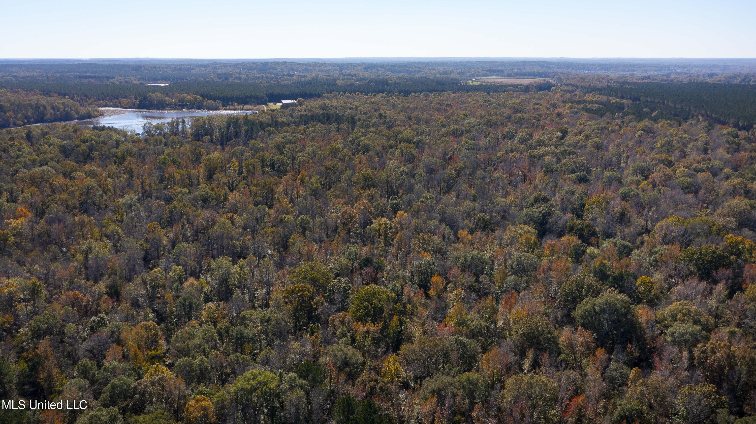 347.14 Acres Bridges Road, Brandon, Mississippi image 10