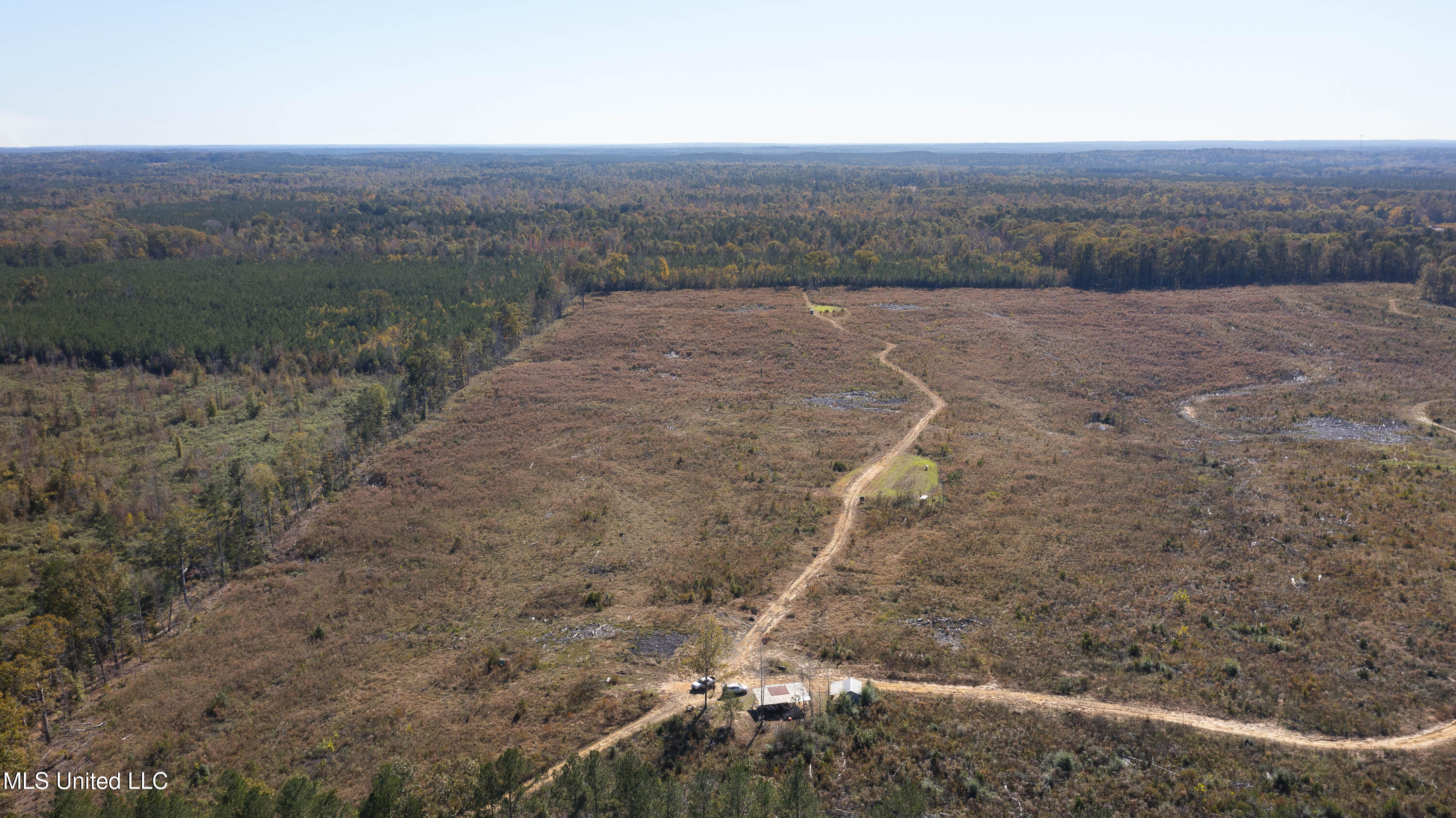 347.14 Acres Bridges Road, Brandon, Mississippi image 13