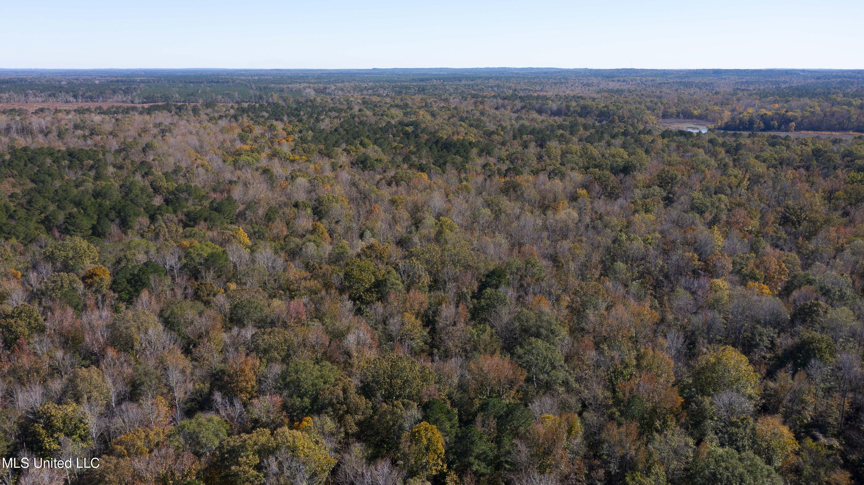 347.14 Acres Bridges Road, Brandon, Mississippi image 6