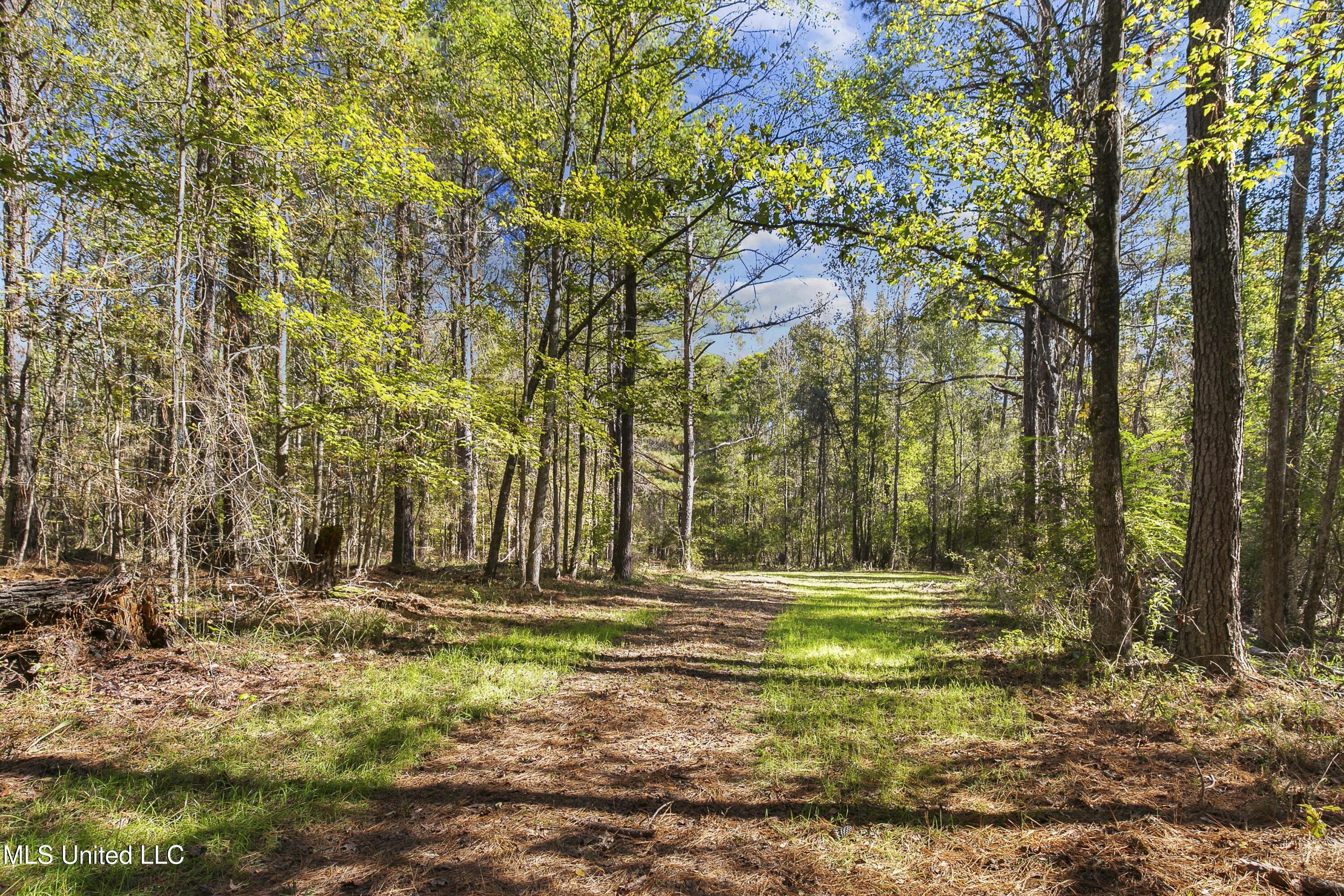 347.14 Acres Bridges Road, Brandon, Mississippi image 29