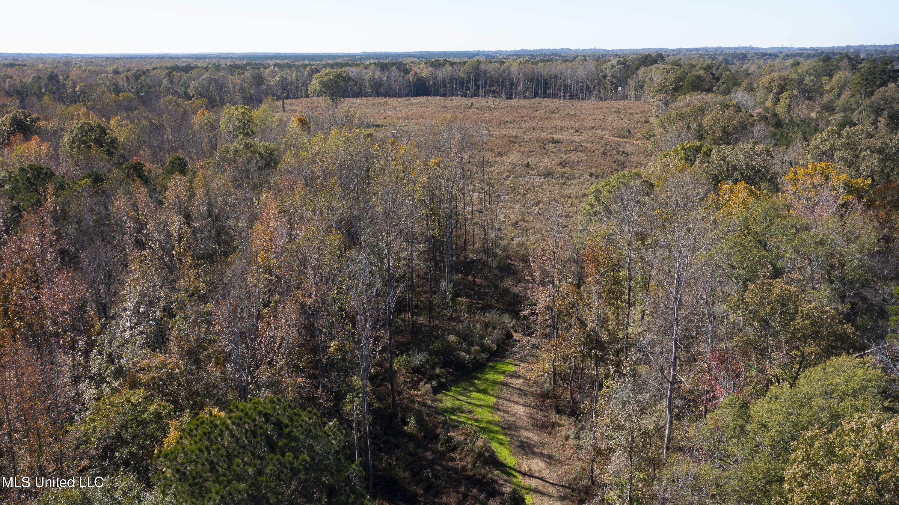 347.14 Acres Bridges Road, Brandon, Mississippi image 16