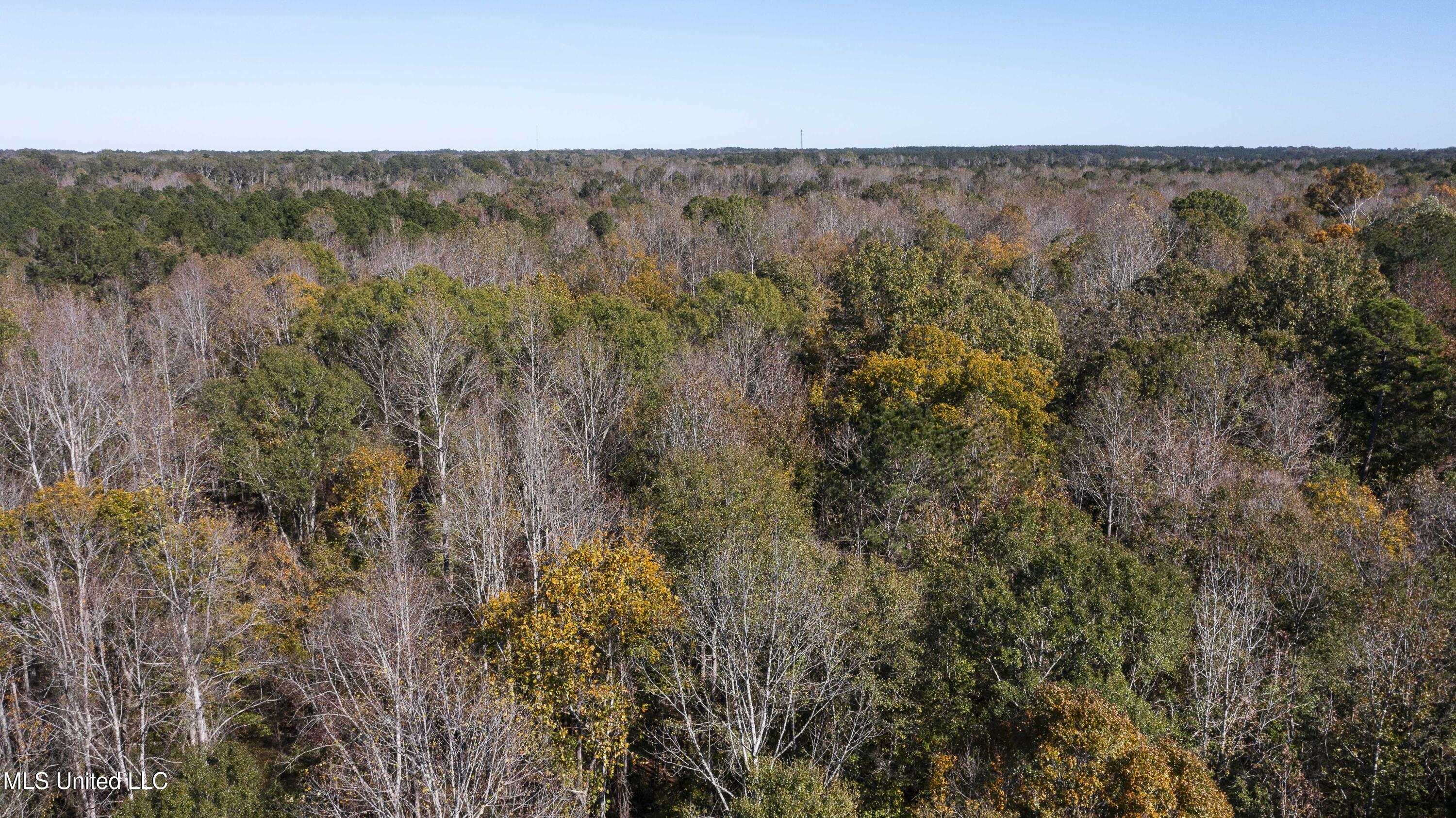 347.14 Acres Bridges Road, Brandon, Mississippi image 38