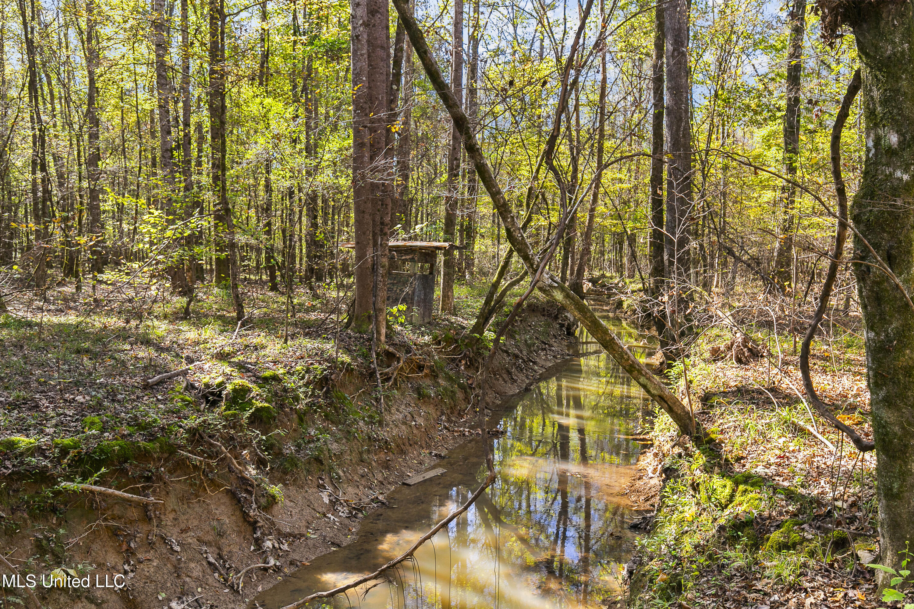 347.14 Acres Bridges Road, Brandon, Mississippi image 28