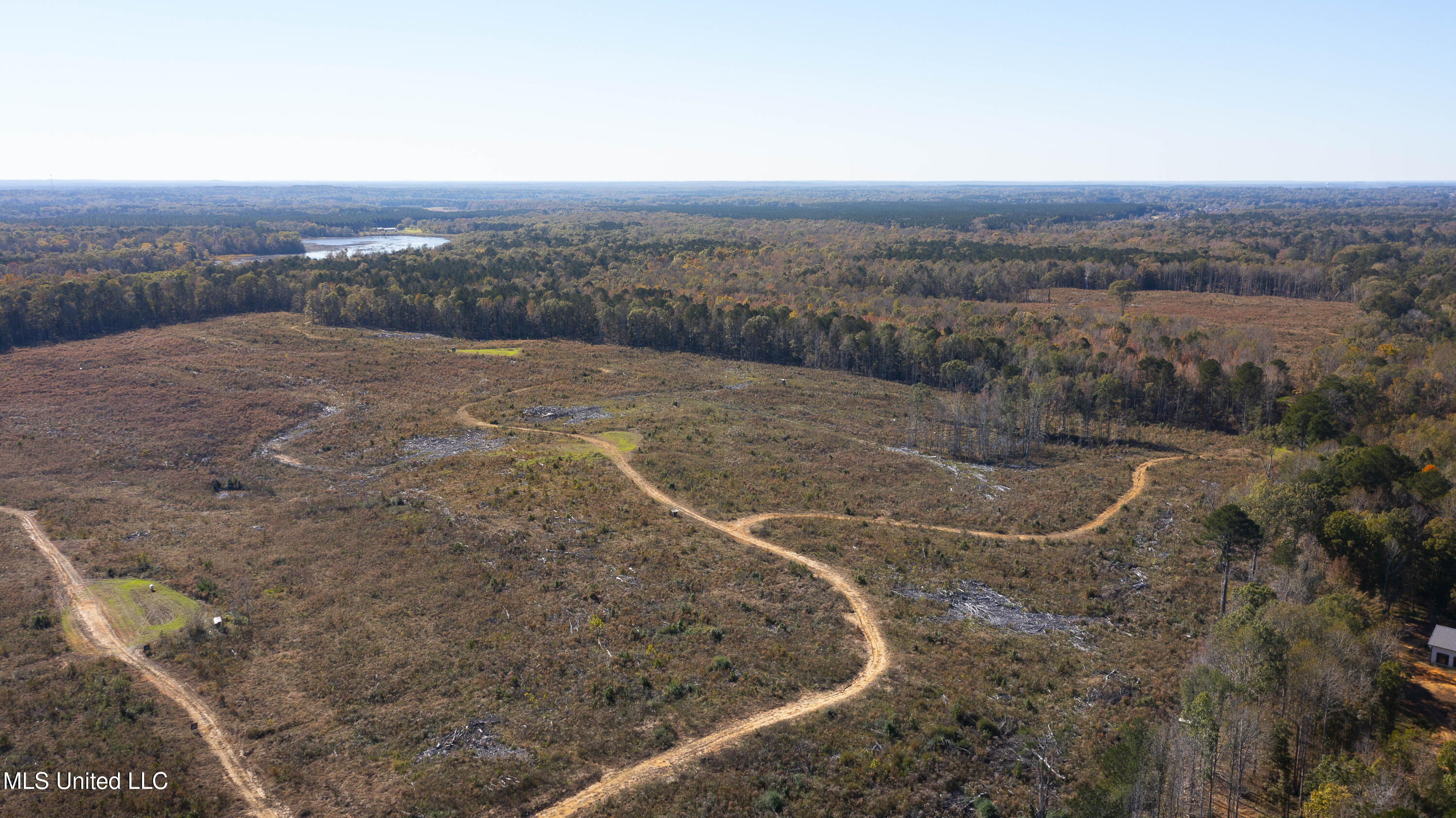 347.14 Acres Bridges Road, Brandon, Mississippi image 12