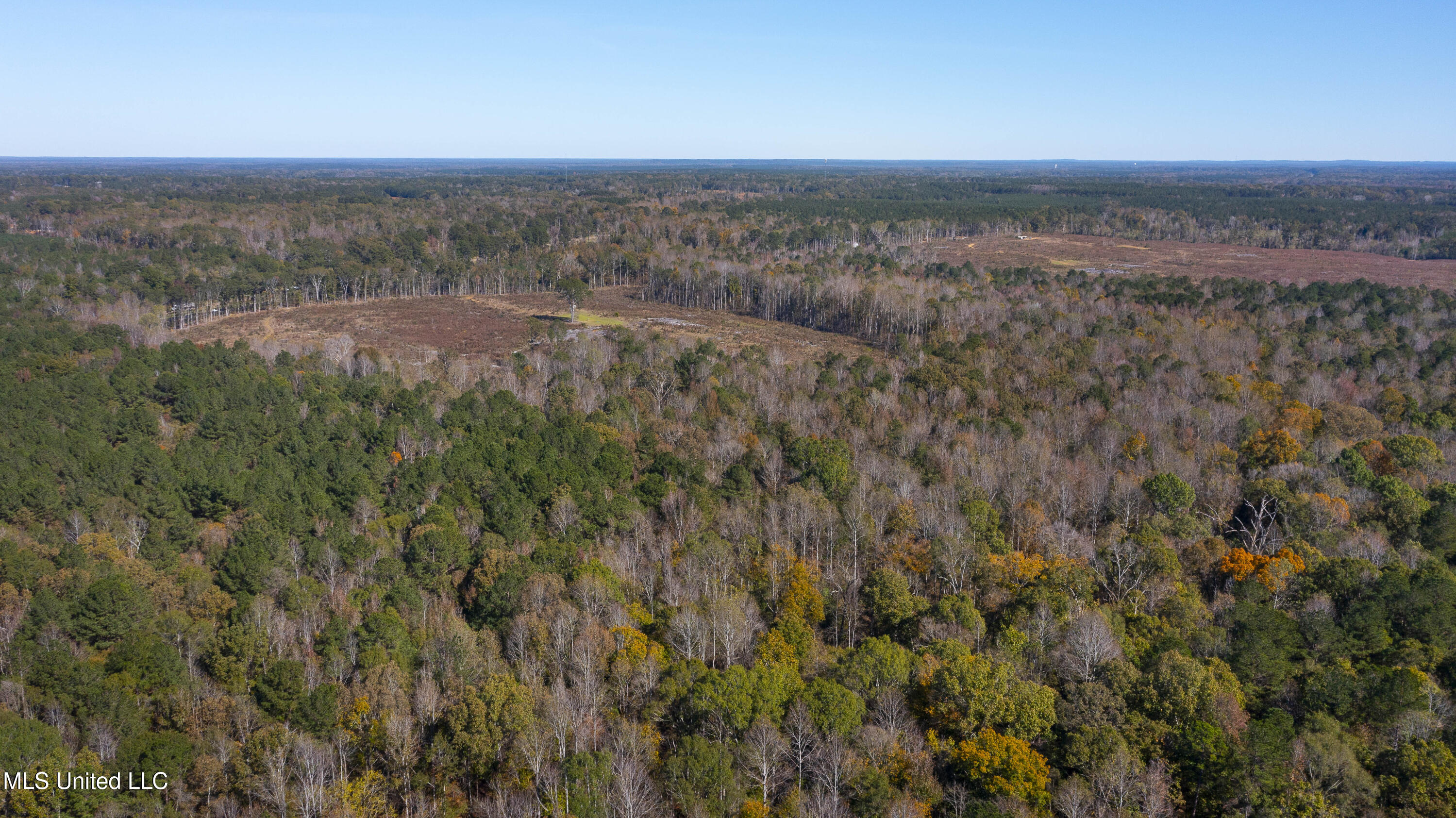 347.14 Acres Bridges Road, Brandon, Mississippi image 8